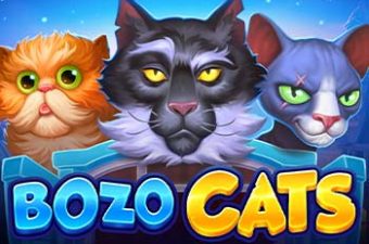 Bozo Cats